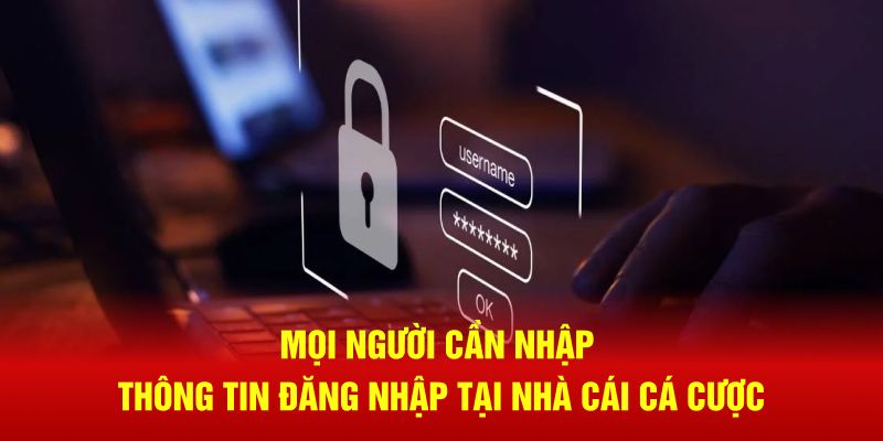 Mọi người cần nhập thông tin đăng nhập tại nhà cái cá cược