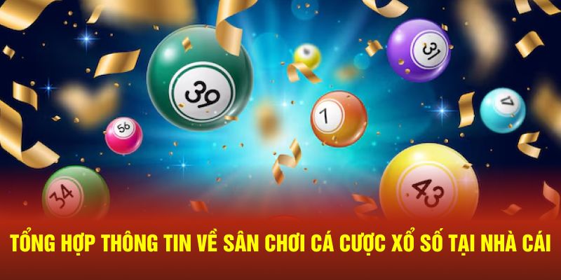 Tổng hợp thông tin về sân chơi giải trí hot hit tại nhà cái