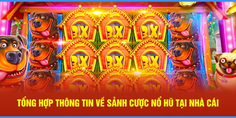 Tổng hợp thông tin về sảnh cược nổ hũ tại nhà cái